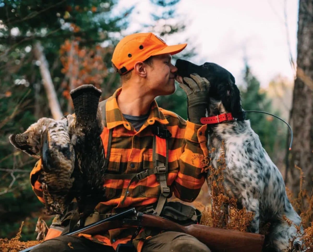 An upland hunter in blaze orange with a bird dog at his shoulder